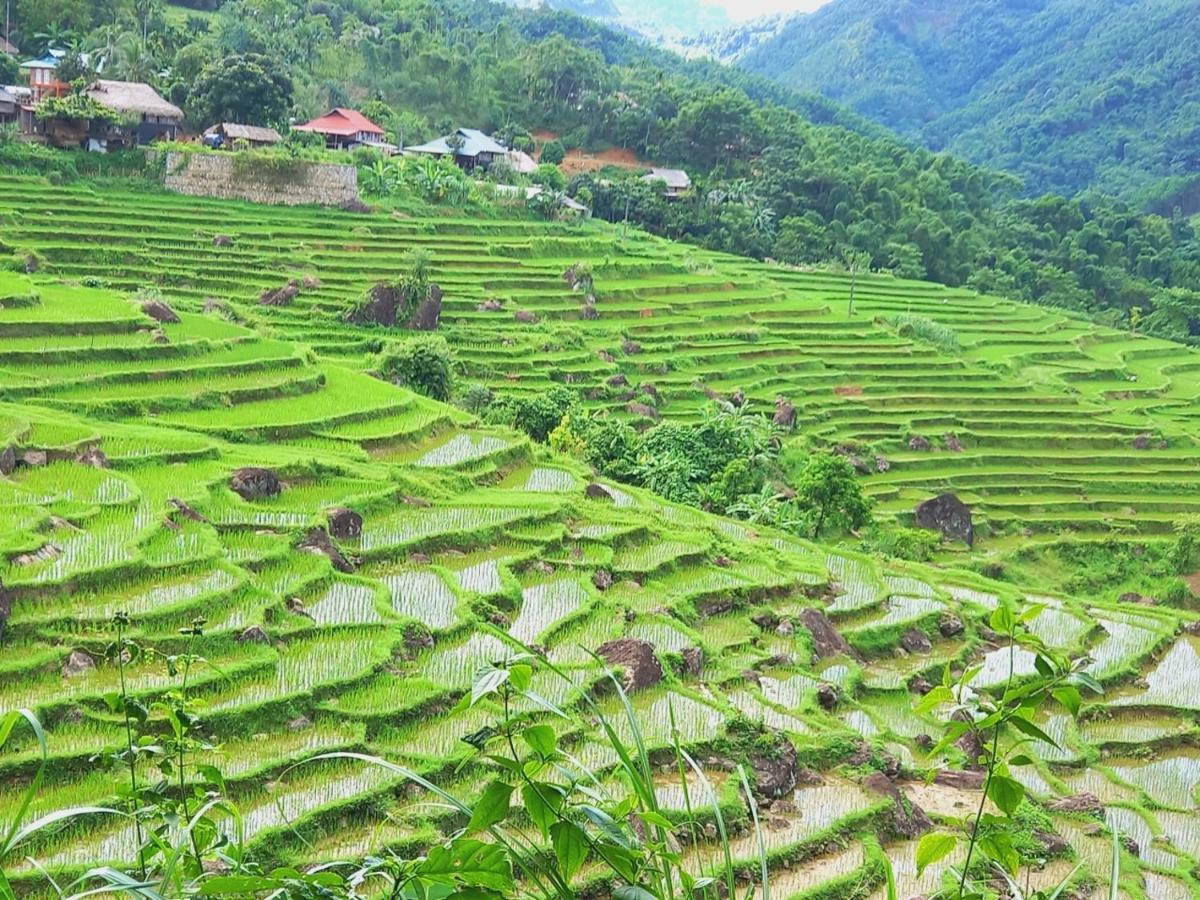 Nha Tan - Mai Chau Homestay And Tours Eksteriør billede