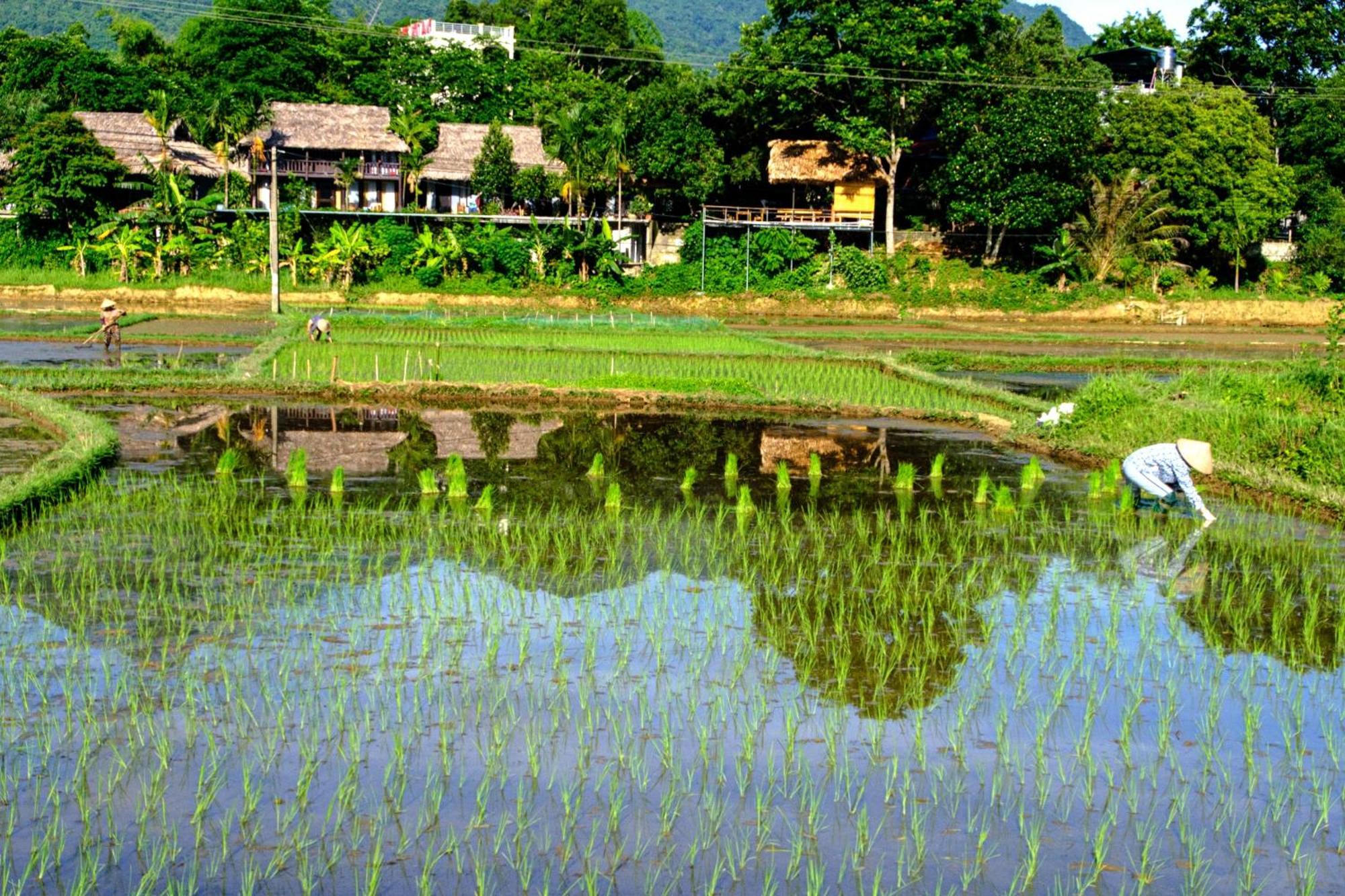 Nha Tan - Mai Chau Homestay And Tours Eksteriør billede