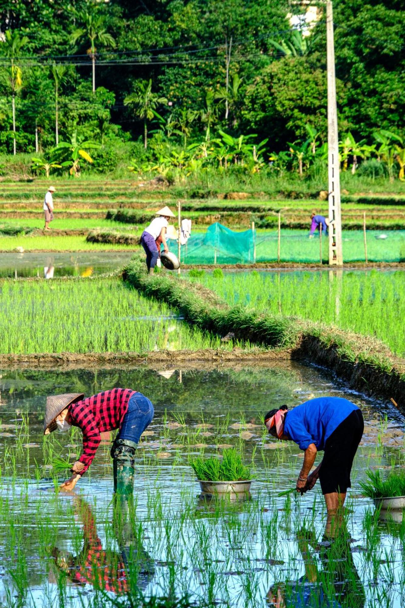 Nha Tan - Mai Chau Homestay And Tours Eksteriør billede